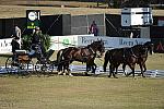WEG3-10-7-10-DR-DRE-5535-LudwigWeinmayr-GER-DDeRosaPhoto.jpg
