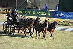 WEG3-10-7-10-DR-DRE-5546-IjsbrandChardon-NED-DDeRosaPhoto.jpg