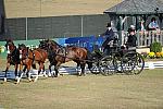 WEG3-10-7-10-DR-DRE-5563-JamesFairclough-USA-DDeRosaPhoto.jpg