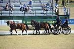 WEG3-10-7-10-DR-DRE-5567-JamesFairclough-USA-DDeRosaPhoto.jpg