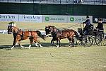 WEG3-10-7-10-DR-DRE-5568-JamesFairclough-USA-DDeRosaPhoto.jpg