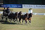 WEG3-10-7-10-DR-DRE-5570-JamesFairclough-USA-DDeRosaPhoto.jpg