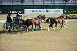 WEG3-10-7-10-DR-DRE-5573-JamesFairclough-USA-DDeRosaPhoto.jpg