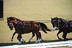 WEG3-10-7-10-DR-DRE-5574-JamesFairclough-USA-DDeRosaPhoto.jpg