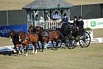 WEG3-10-7-10-DR-DRE-5577-JamesFairclough-USA-DDeRosaPhoto.jpg
