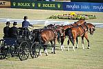 WEG3-10-7-10-DR-DRE-5578-JamesFairclough-USA-DDeRosaPhoto.jpg
