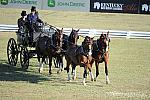WEG3-10-7-10-DR-DRE-5589-JamesFairclough-USA-DDeRosaPhoto.jpg