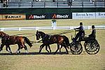 WEG3-10-7-10-DR-DRE-5590-JamesFairclough-USA-DDeRosaPhoto.jpg