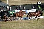 WEG3-10-7-10-DR-DRE-5607-GavinRobson-AUS-DDeRosaPhoto.jpg