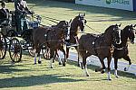 WEG3-10-7-10-DR-DRE-5615-GavinRobson-AUS-DDeRosaPhoto.jpg