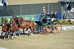 WEG3-10-7-10-DR-DRE-5640-GavinRobson-AUS-DDeRosaPhoto.jpg