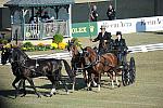 WEG3-10-7-10-DR-DRE-5667-DarrylBilling-CAN-DDeRosaPhoto.jpg