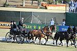 WEG3-10-7-10-DR-DRE-5668-DarrylBilling-CAN-DDeRosaPhoto.jpg