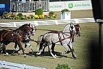 WEG3-10-7-10-DR-DRE-5681-WernerUlrich-SUI-DDeRosaPhoto.jpg