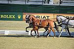 WEG3-10-7-10-DR-DRE-5692-WernerUlrich-SUI-DDeRosaPhoto.jpg