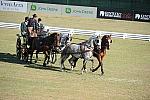 WEG3-10-7-10-DR-DRE-5693-WernerUlrich-SUI-DDeRosaPhoto.jpg