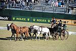 WEG3-10-7-10-DR-DRE-5701-WernerUlrich-SUI-DDeRosaPhoto.jpg