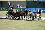 WEG3-10-7-10-DR-DRE-5703-WernerUlrich-SUI-DDeRosaPhoto.jpg
