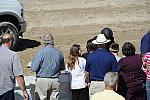 WEG3-10-7-10-Hunters-DSC_6585-DDeRosaPhoto.jpg
