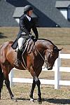 WEG3-10-7-10-Hunters-WEG_6008-DDeRosaPhoto.jpg