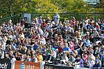 WEG3-10-7-10-Hunters-WEG_6048-DDeRosaPhoto.jpg