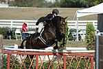 WEG3-10-7-10-Hunters-WEG_6117-DDeRosaPhoto.jpg