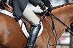 WEG3-10-7-10-Hunters-WEG_6186-DDeRosaPhoto.jpg