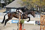 WEG3-10-7-10-Hunters-WEG_6197-DDeRosaPhoto.jpg