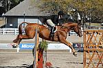 WEG3-10-7-10-Hunters-WEG_6200-DDeRosaPhoto.jpg