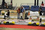 WEG3-10-7-10-Para-Medals-6647-DDeRosaPhoto.jpg