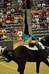 WEG3-10-7-10-Vaulting-5734-DDeRosaPhoto.jpg