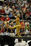 WEG3-10-7-10-Vaulting-5747-DDeRosaPhoto.jpg