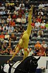 WEG3-10-7-10-Vaulting-5749-DDeRosaPhoto.jpg