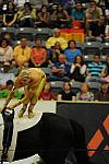 WEG3-10-7-10-Vaulting-5754-DDeRosaPhoto.jpg