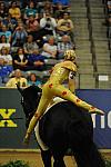 WEG3-10-7-10-Vaulting-5761-DDeRosaPhoto.jpg