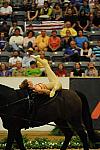 WEG3-10-7-10-Vaulting-5778-DDeRosaPhoto.jpg