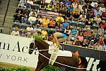 WEG3-10-7-10-Vaulting-5848-DDeRosaPhoto.jpg