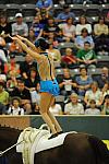 WEG3-10-7-10-Vaulting-5863-DDeRosaPhoto.jpg