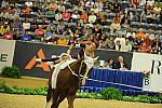 WEG3-10-7-10-Vaulting-5873-DDeRosaPhoto.jpg