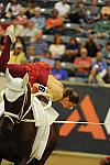 WEG3-10-7-10-Vaulting-5940-DDeRosaPhoto.jpg
