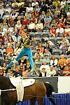 WEG3-10-7-10-Vaulting-5984-DDeRosaPhoto.jpg