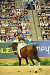 WEG3-10-7-10-Vaulting-5992-DDeRosaPhoto.jpg