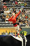 WEG3-10-7-10-Vaulting-DSC_6545-DDeRosaPhoto.jpg