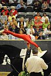 WEG3-10-7-10-Vaulting-DSC_6557-DDeRosaPhoto.jpg