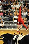 WEG3-10-7-10-Vaulting-DSC_6561-DDeRosaPhoto.jpg