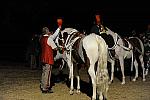 WEG1-9-22-10-Miramar_0156-DDeRosaPhoto.jpg