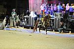 WEG1-9-22-10-Miramar_0263-DDeRosaPhoto.jpg