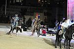WEG1-9-22-10-Miramar_0292-DDeRosaPhoto.jpg