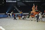 WEG1-9-22-10-Miramar_0297-DDeRosaPhoto.jpg