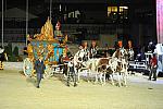 WEG1-9-22-10-Miramar_0306-DDeRosaPhoto.jpg